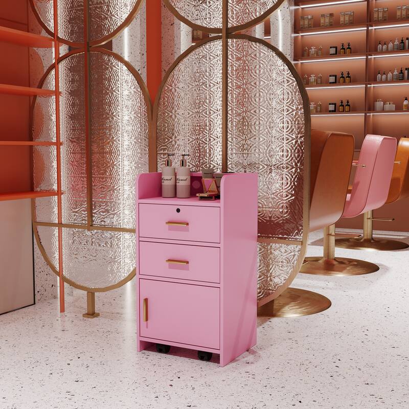 Locking Beauty Salon Storage Cabinet Hair Dryer Holder Stylist Equipment 2-Drawer