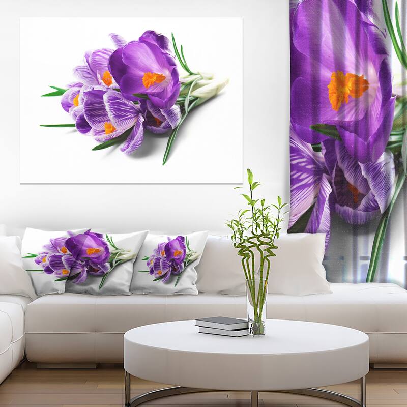 Bunch of Blooming Crocus Flowers - Large Floral Wall Art Canvas - Purple - 40 in. wide x 30 in. high