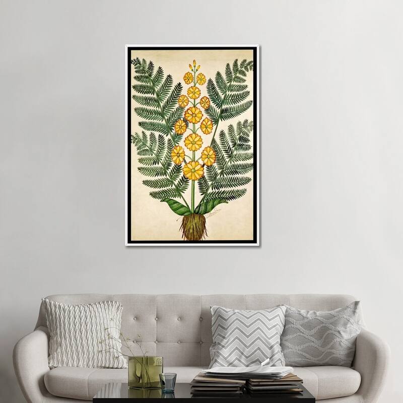 iCanvas "Fern with yellow flowers, plate from a seed merchants in Oisans " by French School Framed