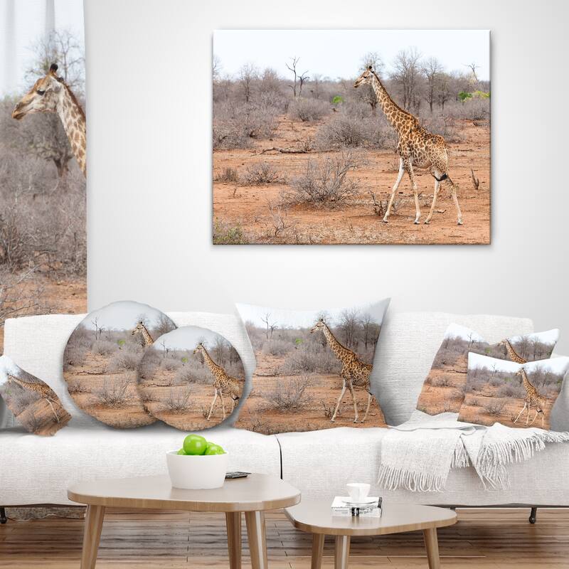Designart "Giraffe Walking through African Forest" Modern Animal Canvas Wall Artwork Print
