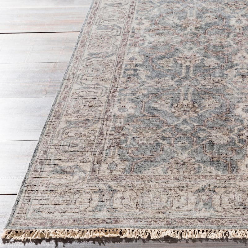 Hand-Knotted Bingham Border Viscose Area Rug