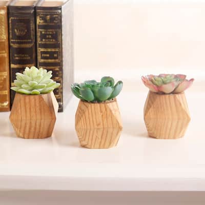 SET OF 3 Faux Succulent in WOOD Pot - ONE-SIZE