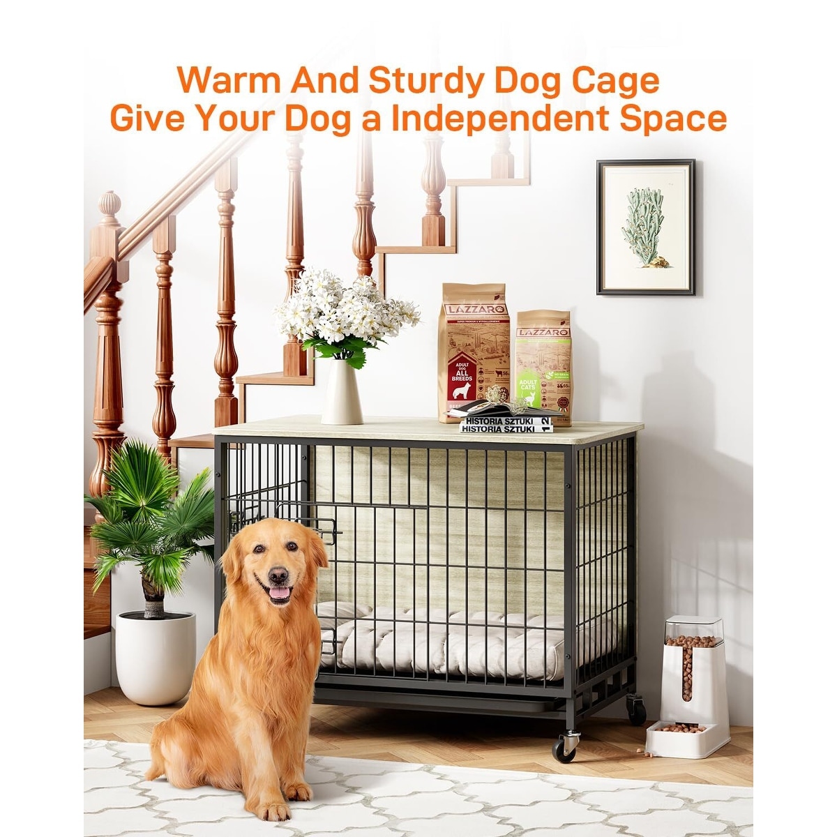 Labrador Retriever What Size Crate For A Labrador Crate Sizes Dog