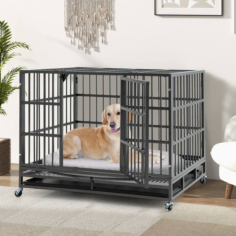 Foldable Heavy-Duty Metal Dog Cage with Lockable Rolling Casters and Tray - 48-Inches