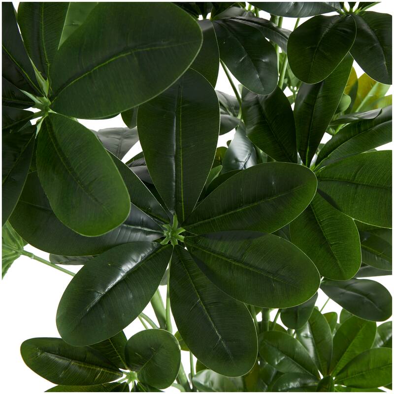 Faux Foliage Money Tree Tall Artificial Tree with Black Pot - Green - Roche River Decor - 24"W x 30"L x 63"H