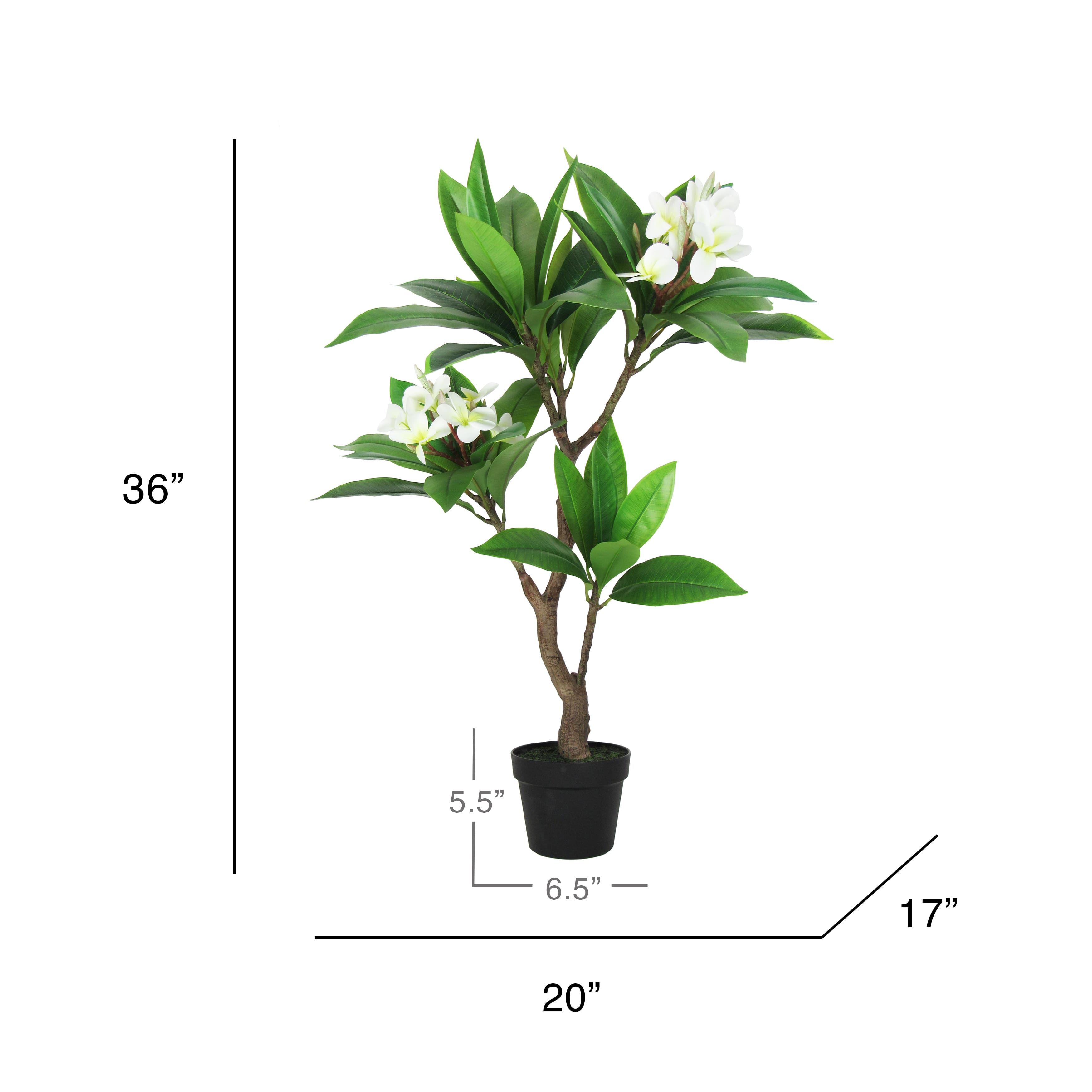 3ft Cream Artificial Plumeria Flower Tree Tropical Plant in Black Pot ...