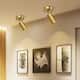 Indoor Spotlights