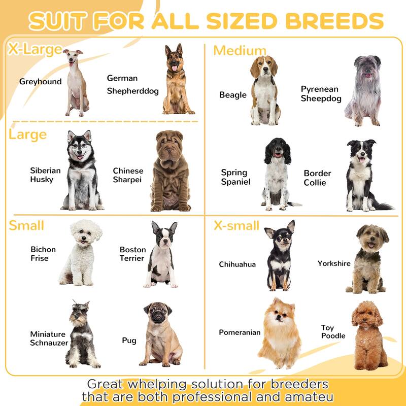 White Pinewood MDF Steel Dog Whelping Box with Pig Rail and Pad - 51.25" L x 51.25" W x 19.75" H