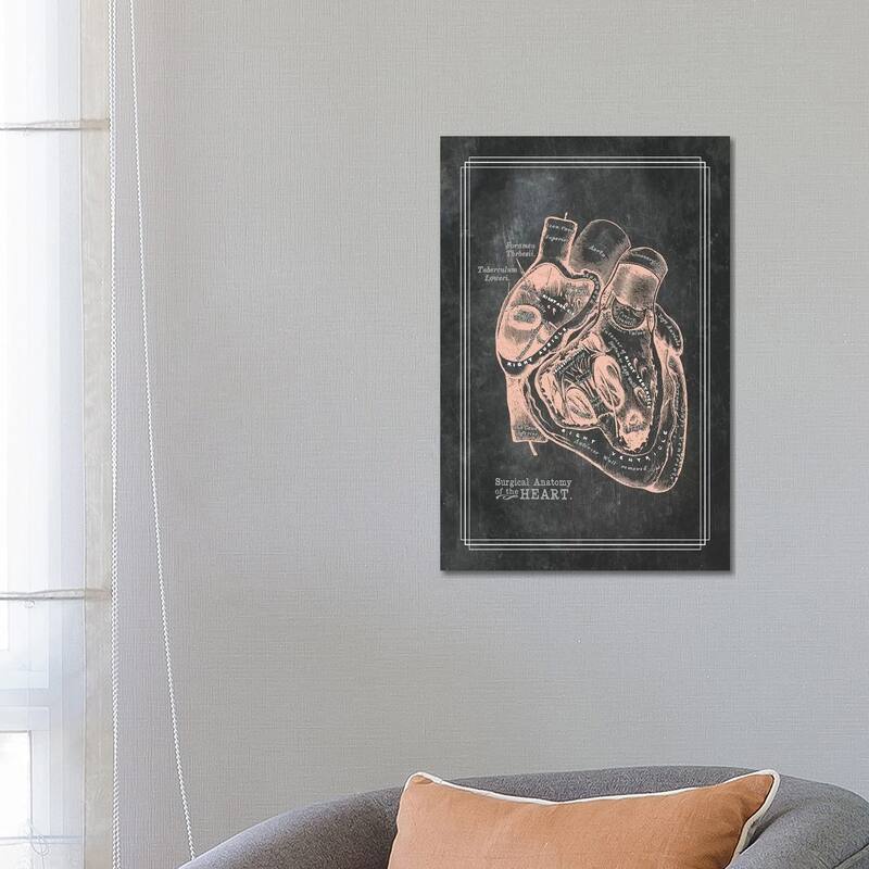 iCanvas "Surgical Anatomy Of The Heart" by ChartSmartDecor Canvas Print - 26x18x1.5