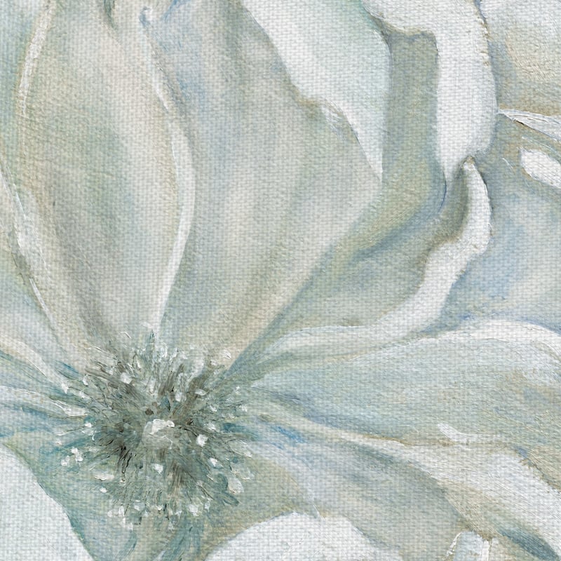 Morning Petals I Square by Carol Robinson Canvas Art Print