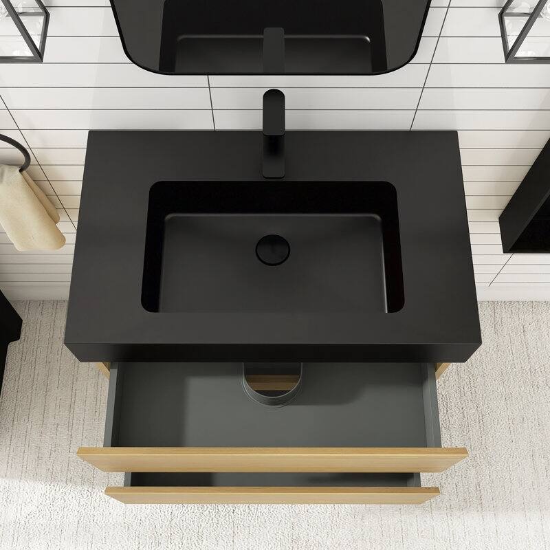 24 in. W x 18 in. D x 25 in. H Single Sink Wall Mounted Bath Vanity for Modern Bathroom Black Sink Basin