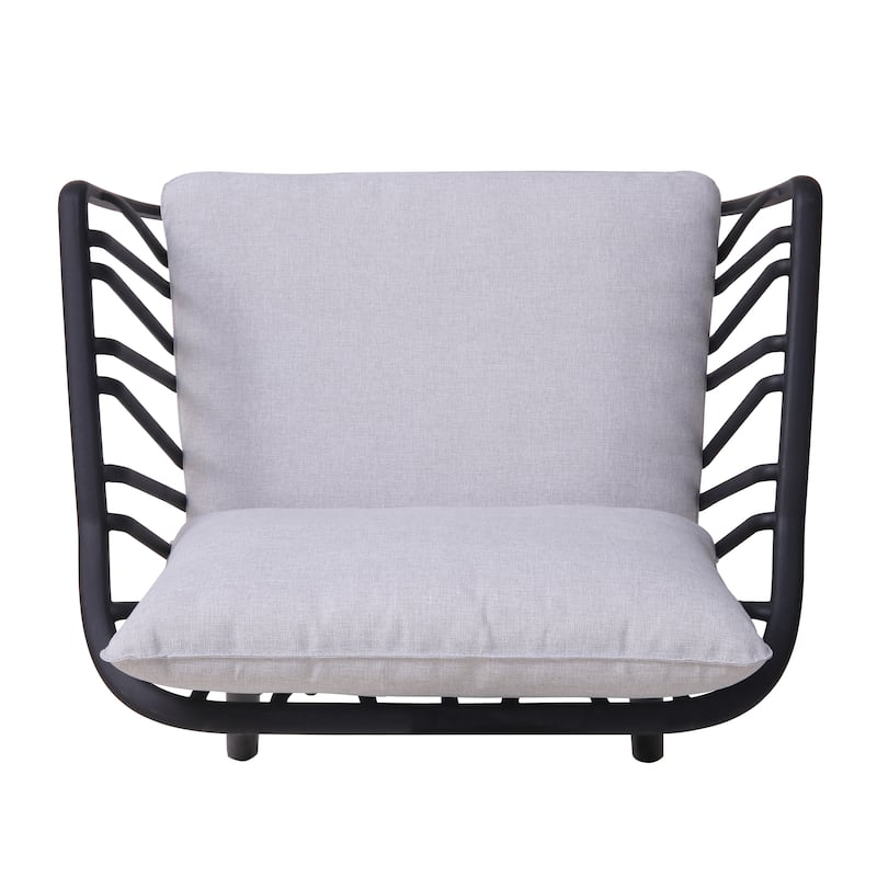 Carli Modern Indoor/Outdoor Club Chairs with Cushions (Set of 2) by Christopher Knight Home