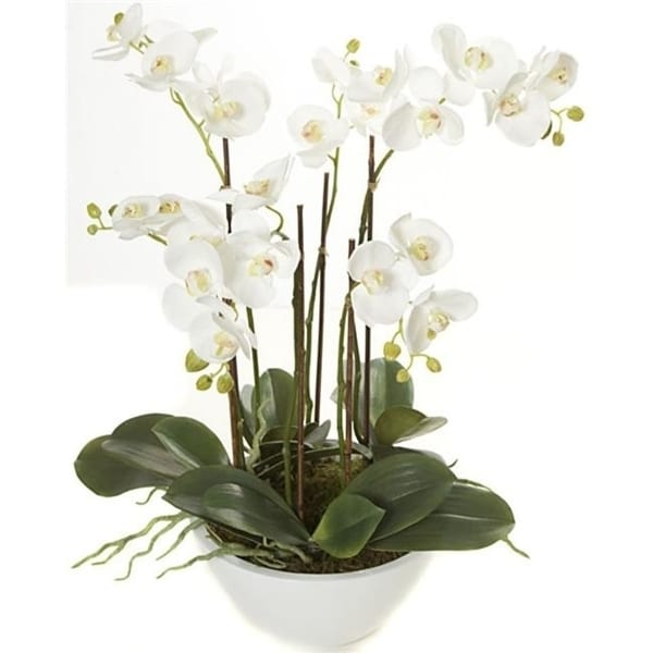 Autograph Foliages P-110820 24 in. Phalaenopsis In Pot White