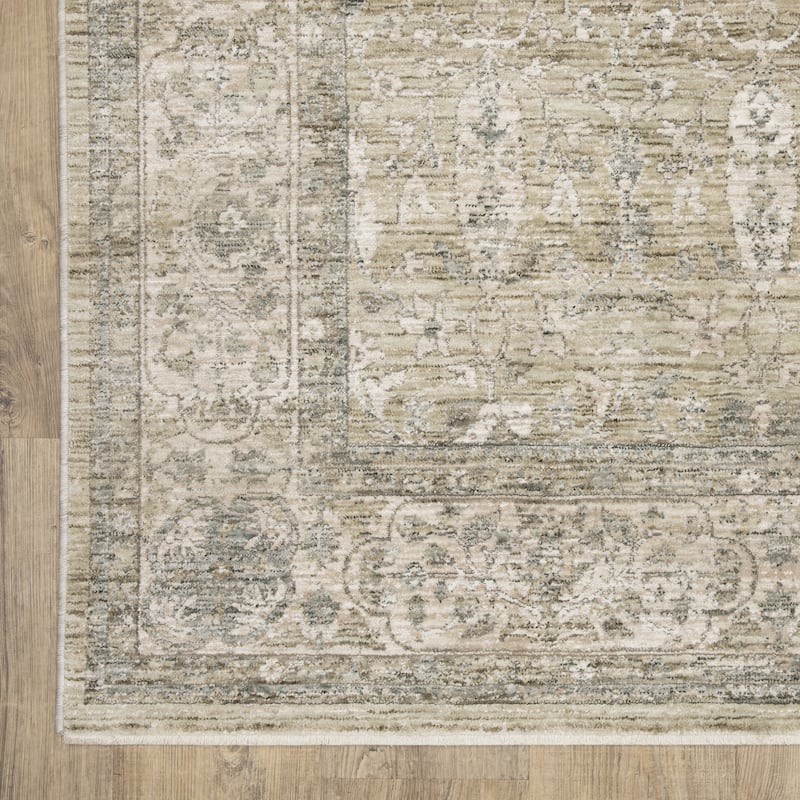 Amira Distressed Traditional Beige/ Grey Area Rug