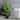 Potted Natural Touch  Spathiphylum X20 34"