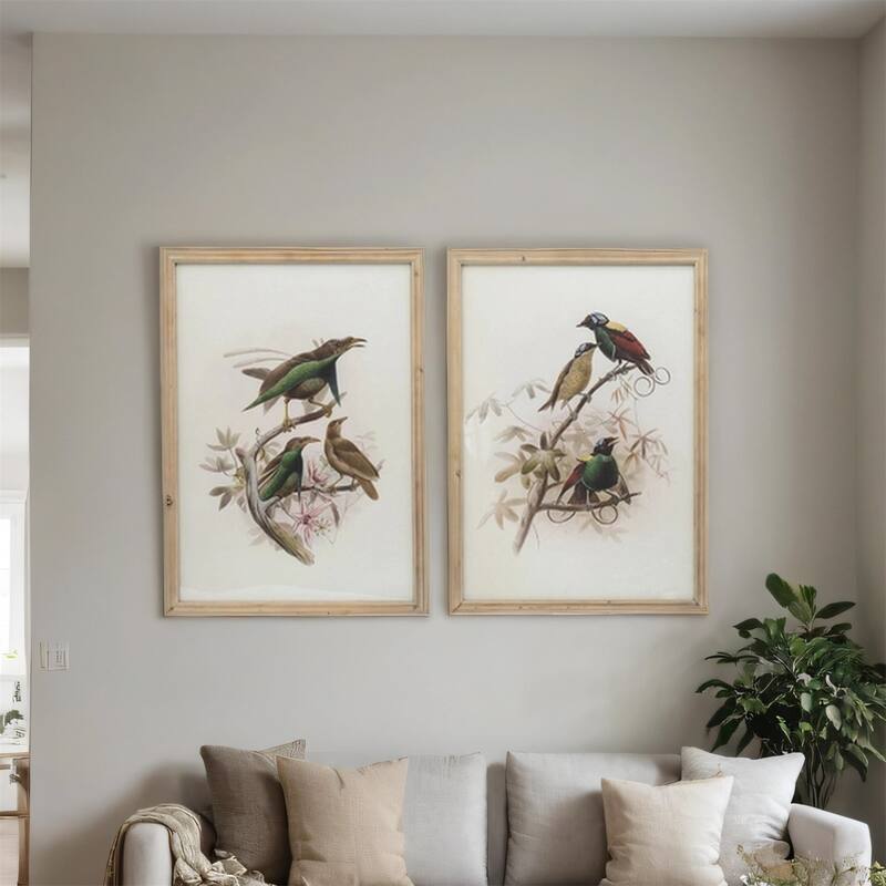 19.5x27.5 inch S/2 Bird Framed Print - Multicolor