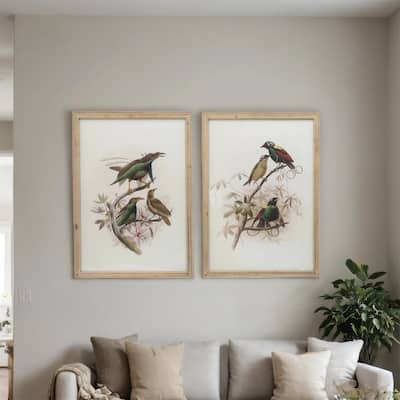 19.5x27.5 inch S/2 Bird Framed Print - Multicolor