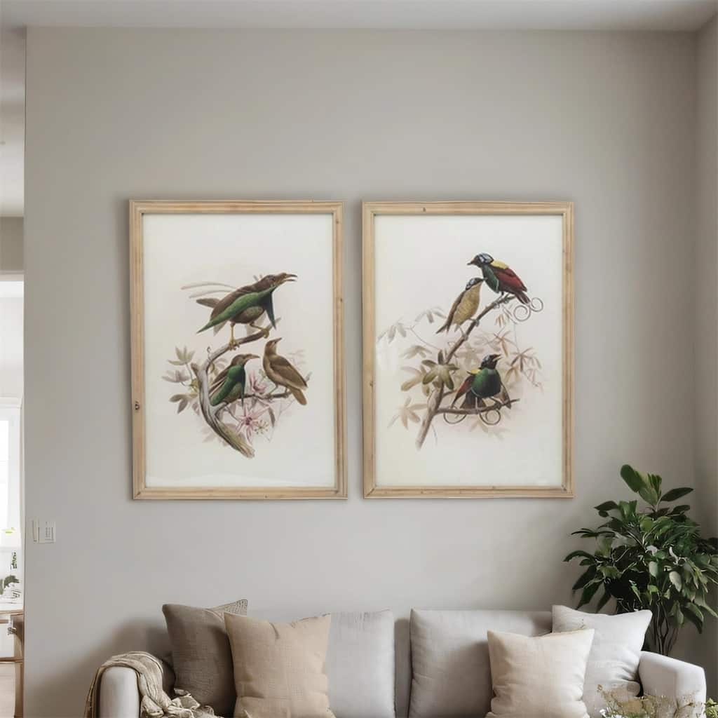 19.5x27.5 inch S/2 Bird Framed Print - Multicolor
