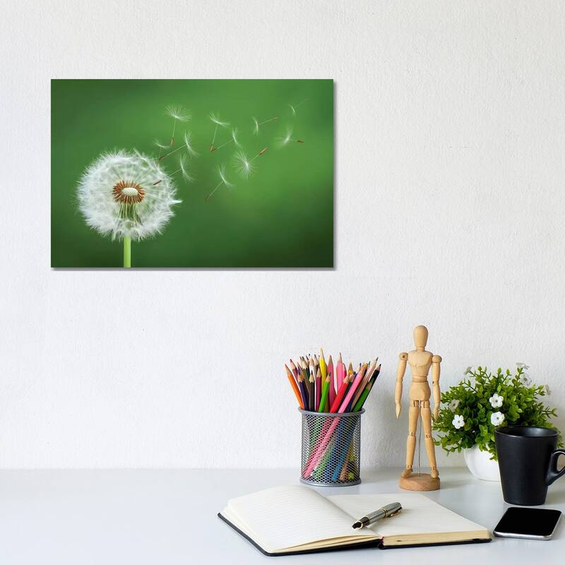 iCanvas "Dandelion Blowing II" by Bess Hamiti Canvas Print - 8x12x0.75