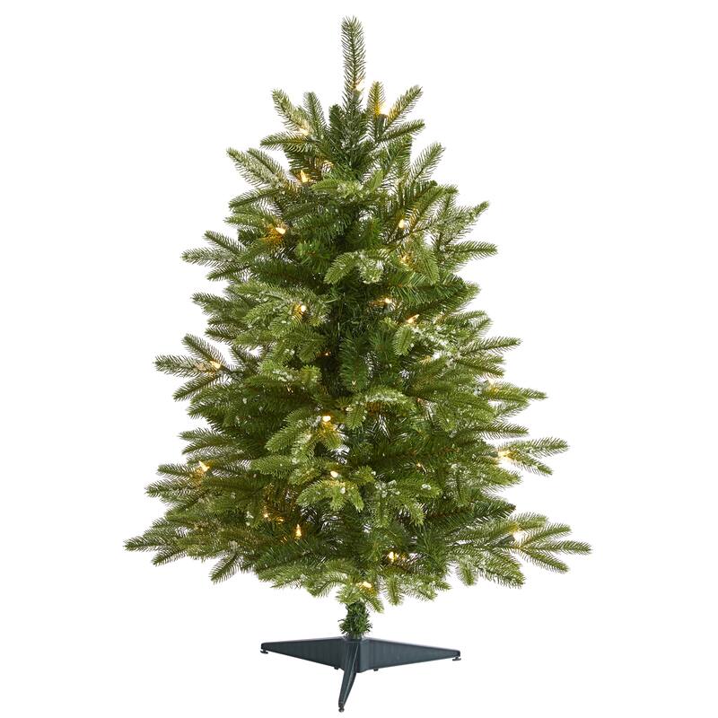 3' Snowed Grand Teton Fir Christmas Tree with 50 Clear Lights - Green