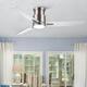 Option Brushed Nickel