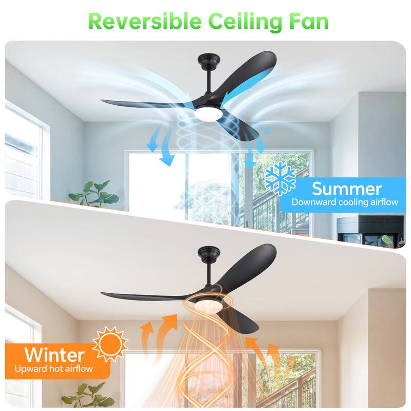 60 Inch Ceiling Fan with Lights 2 Downrods, 3 ABS Fan Blades, High CFM Quiet Energy Efficient DC Motor