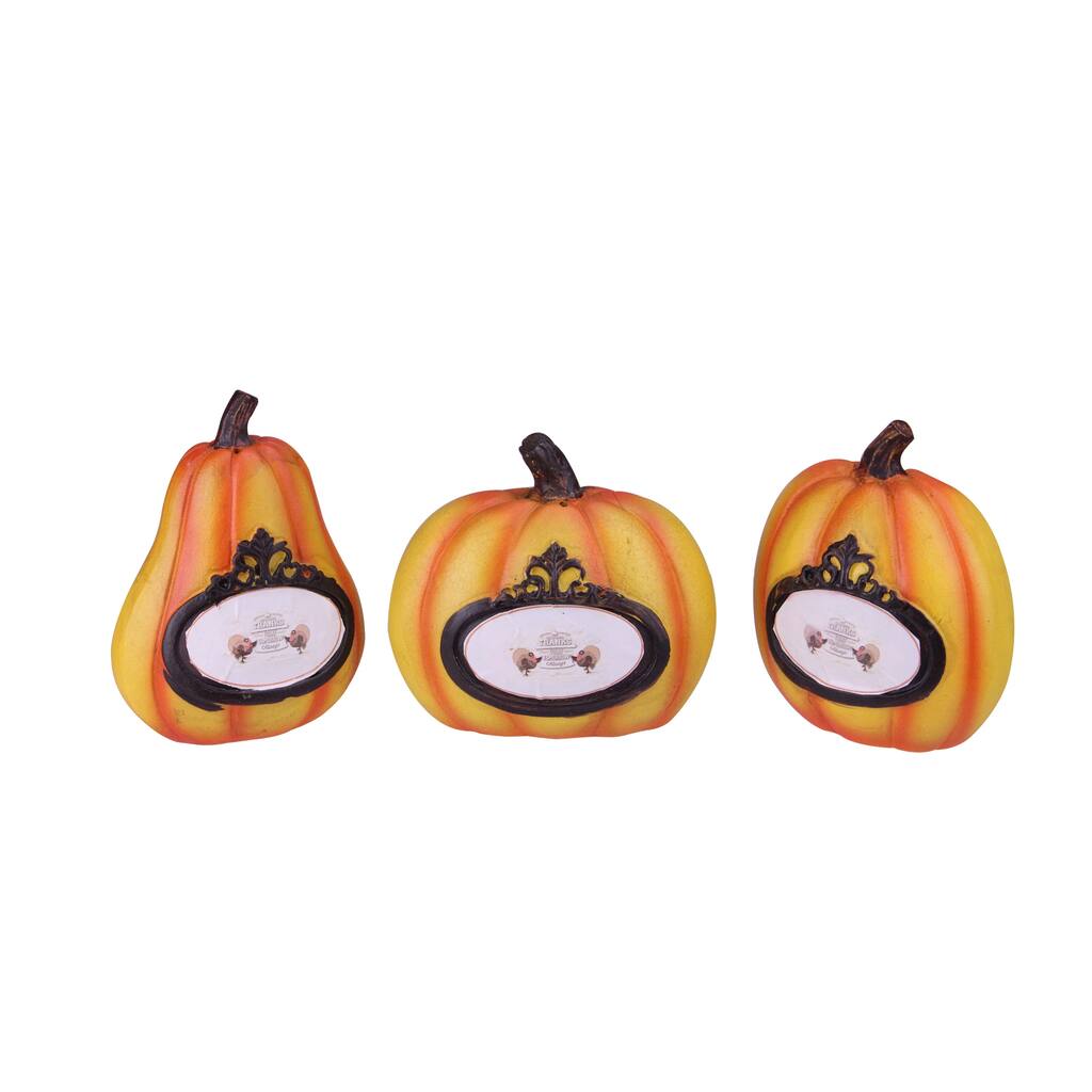 Pumpkins "Thanks, Today, Tomorrow, Always" Fall Harvest Decorations - 5.5" - Set of 3
