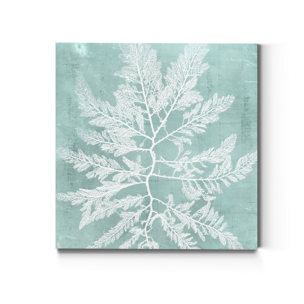 Seaweed on Aqua I -Premium Gallery Wrapped Canvas