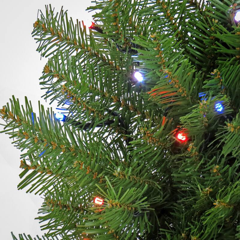 National Tree Company 2 ft. Norwood Fir Wreath with Twinkly LED Lights - 2 ft