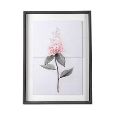Hydrangea II Framed Art Print