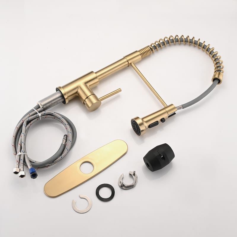 DORNBERG Gold Pull Down Sprayer Spring Kitchen Sink Faucet