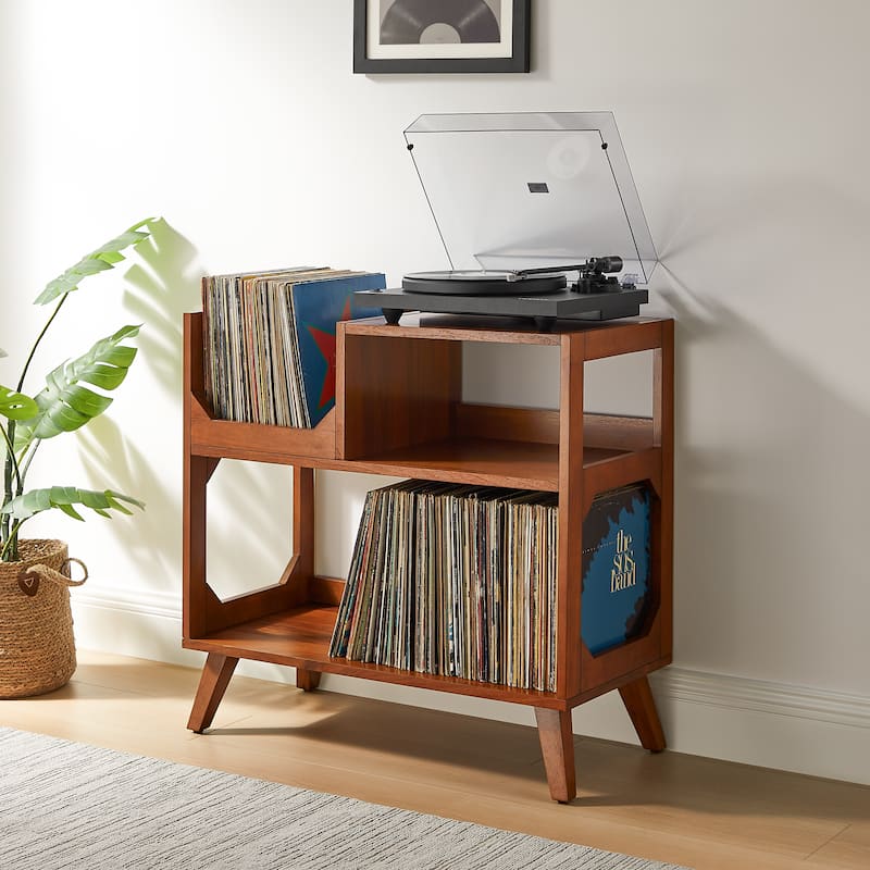 Asheville Medium Record Storage Console