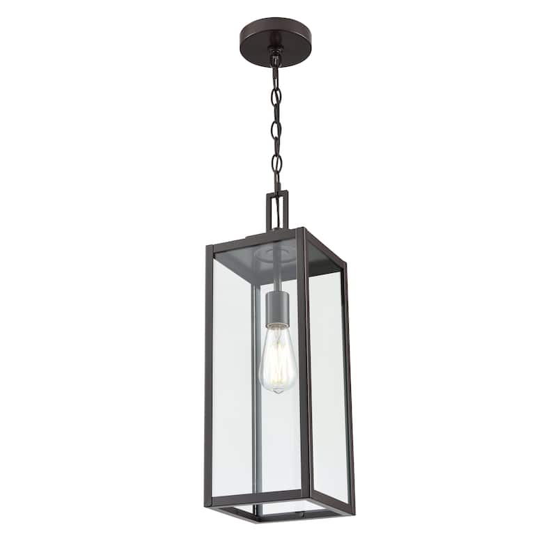 1-Light Outdoor Hanging Lantern