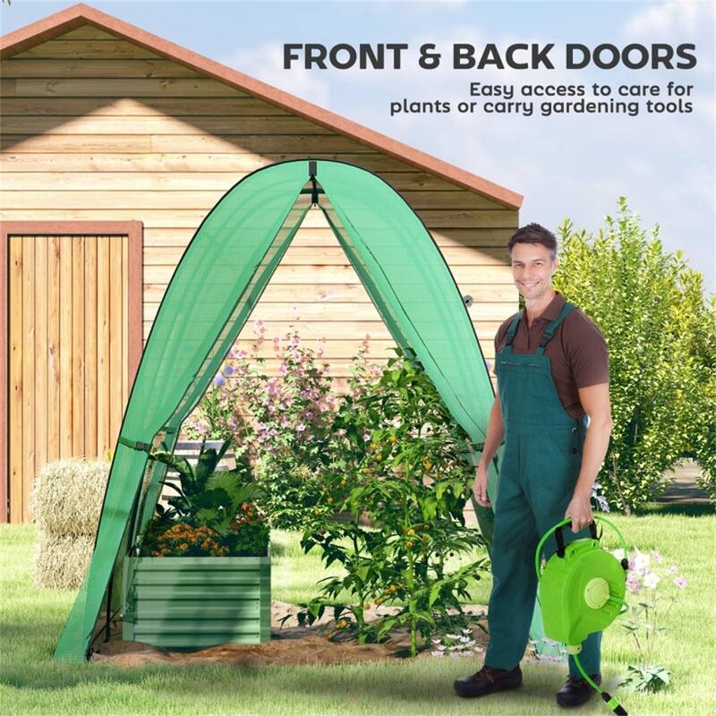 PE Steel Gothic Arch Mini Greenhouse with Roll-Up Doors