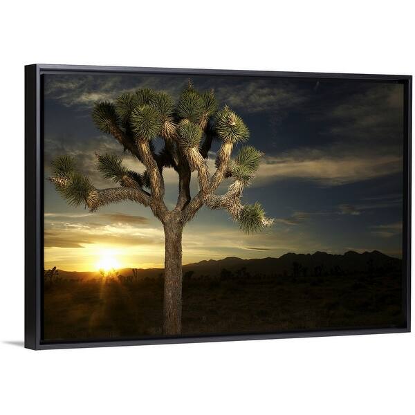 Shop Joshua Tree At Sunset Black Float Frame Canvas Art