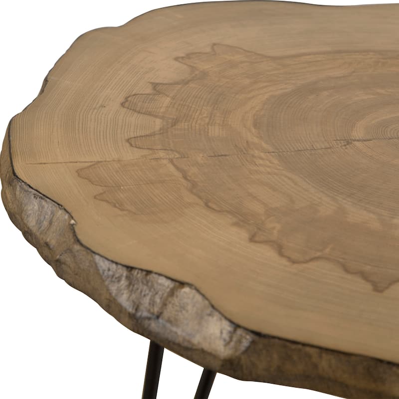 Uttermost 25468 Runay 22" Diameter Veneered Wood Top Metal Side Table
