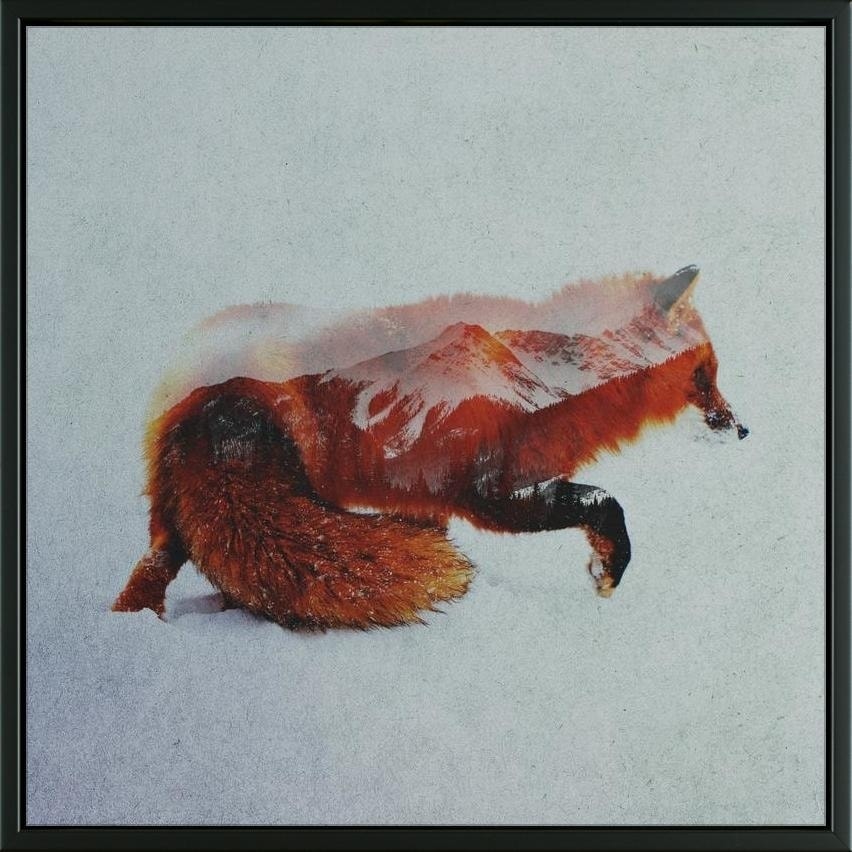 Shop Easy Art Prints Andreas Lie S Fox North Premium Canvas Art