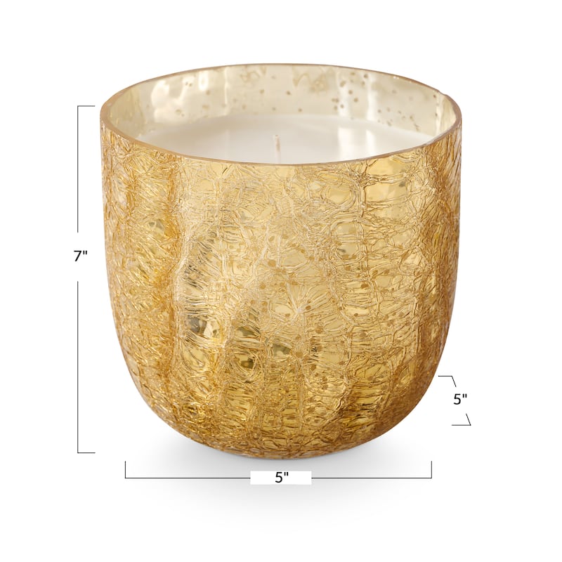ILLUME Noble Autumn Cardamom Candle