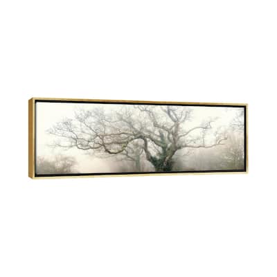 iCanvas "Panoramic Octopus Ghost Oak" by Philippe Manguin Framed Canvas Print