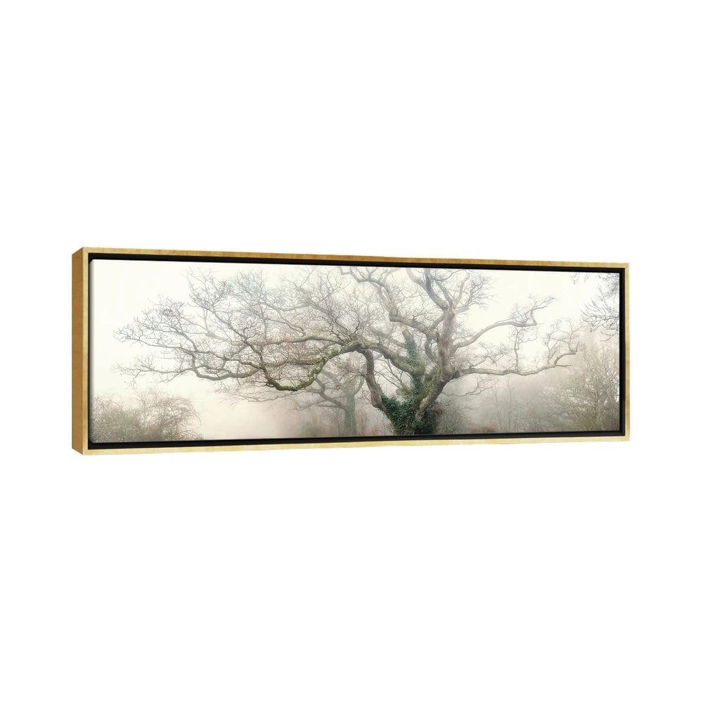 iCanvas "Panoramic Octopus Ghost Oak" by Philippe Manguin Framed Canvas Print