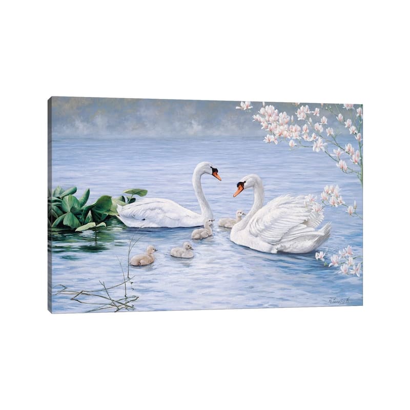 iCanvas "Proud Swan Family" by Peter Motz Canvas Print