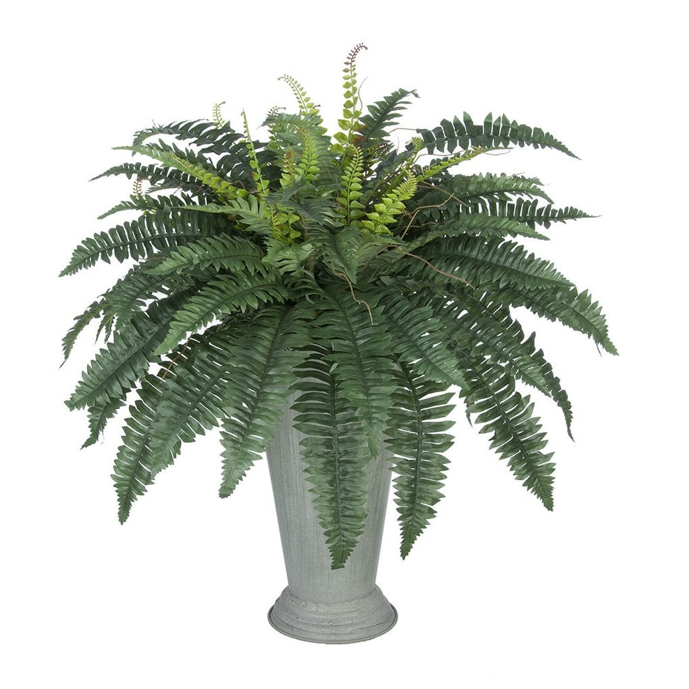 Faux Fern in Galvanized Southern Farm Bucket