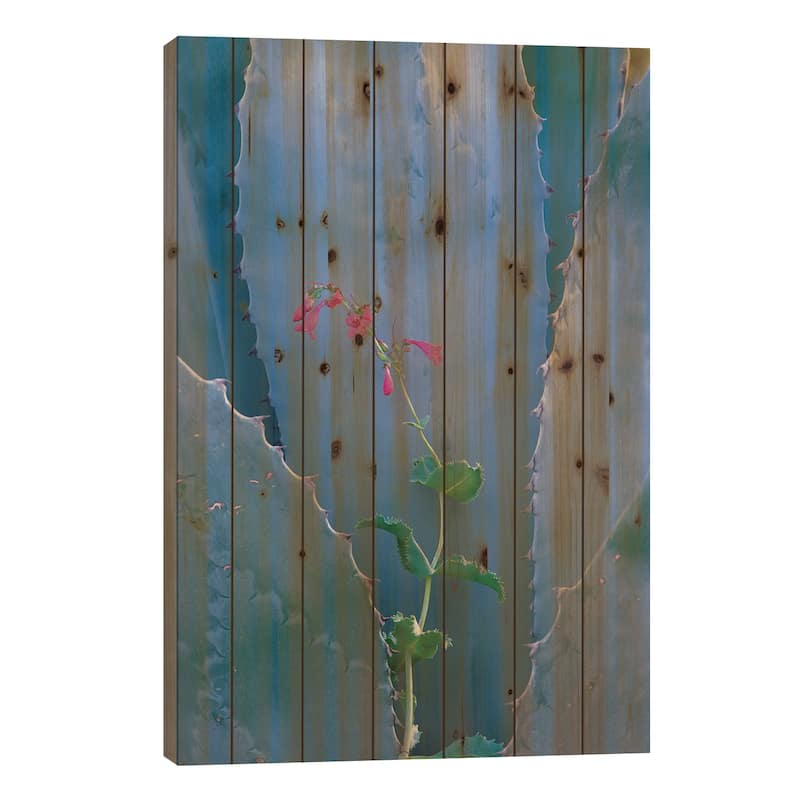 Agave And Parry's Penstemon Close Up, North America I Print On Wood by Tim Fitzharris - Multi-Color - 26x18x1.5