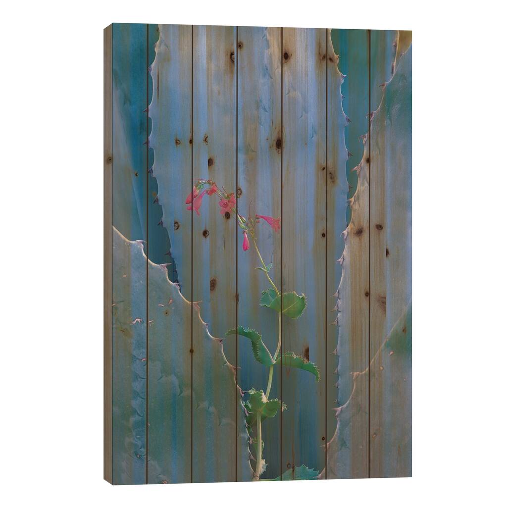 Agave And Parry's Penstemon Close Up, North America I Print On Wood by Tim Fitzharris - Multi-Color