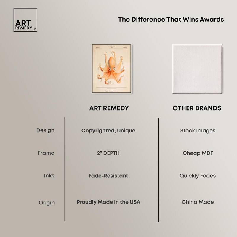 Verany The Octopus 1815 II Canvas by Art Remedy