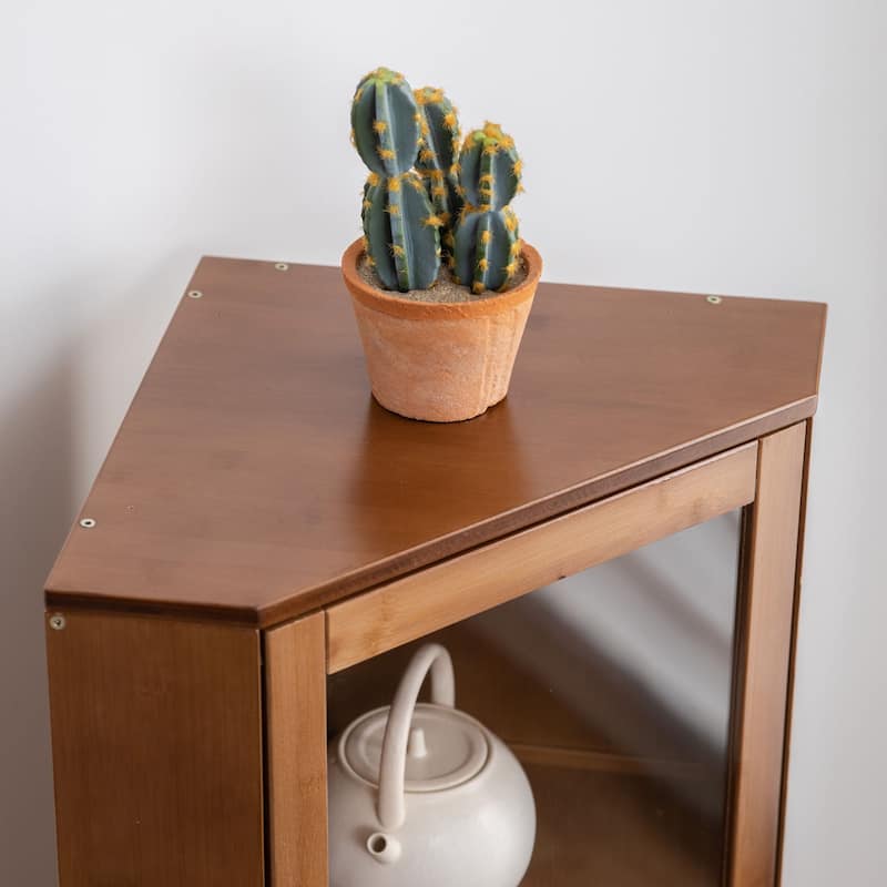 Wooden Cabinet with Doors and Shelves