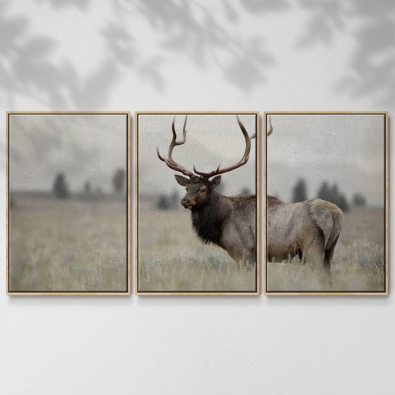 Grand Elk - Multi Piece Framed Canvas