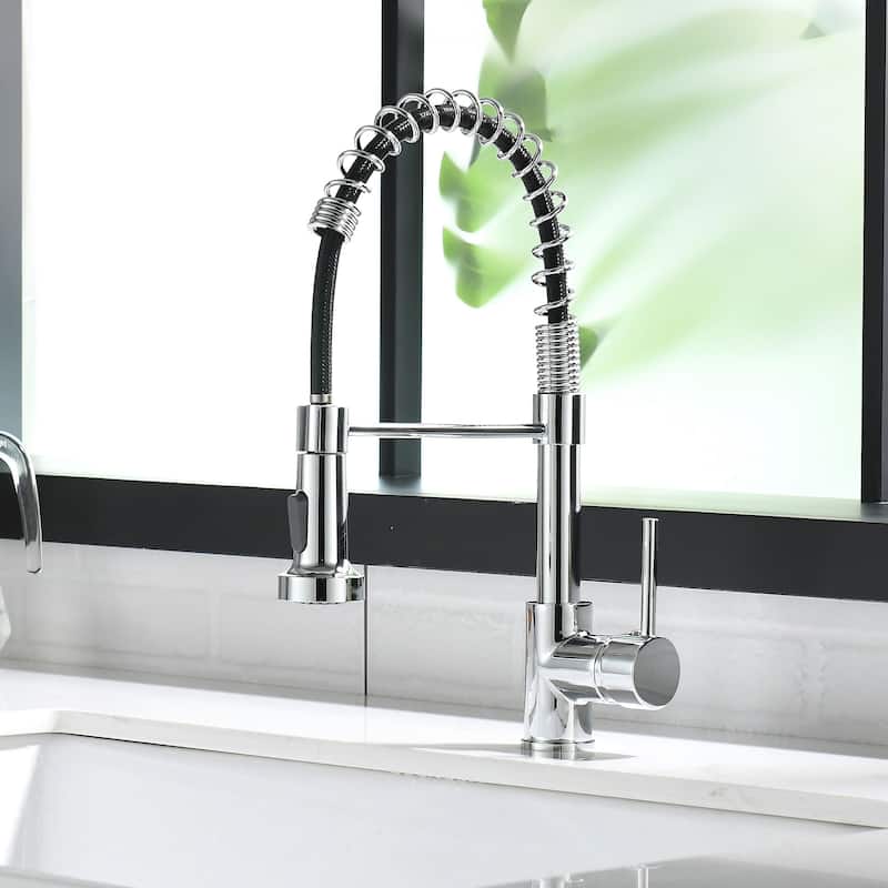 Single-Handle Pull-Out Sprayer Kitchen Faucet with Dual Function