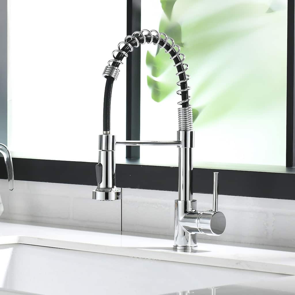 Single-Handle Pull-Out Sprayer Kitchen Faucet with Dual Function