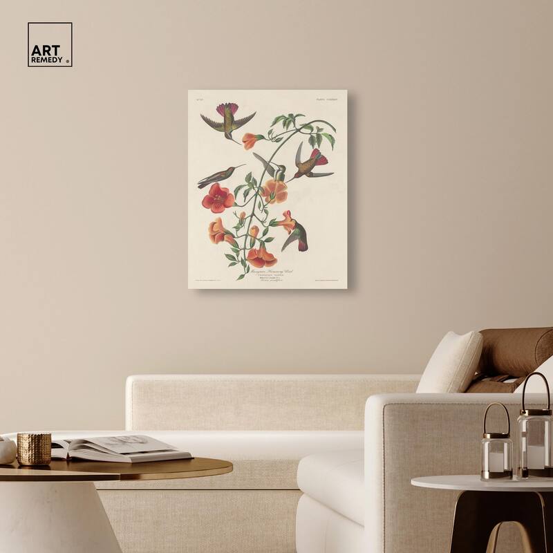 Humming Bird 1834 Canvas by Art Remedy, Gallery Wrapped